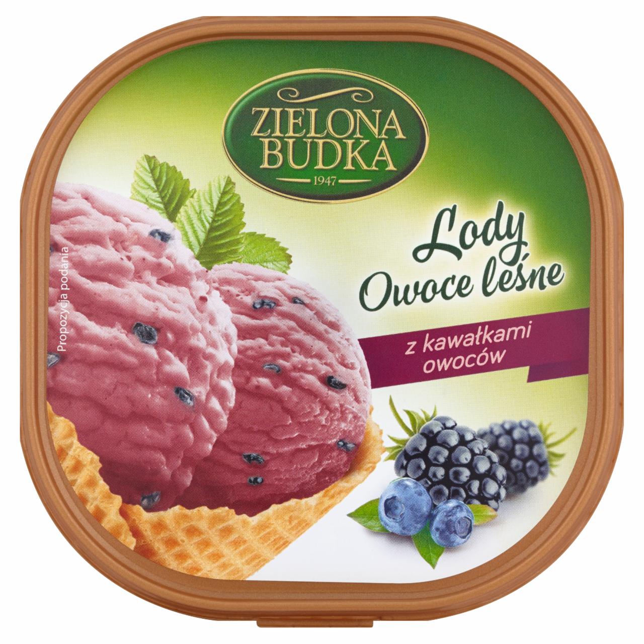 Photo - Zielona Budka Forest Fruits with Fruits Pieces Ice Cream 500 ml
