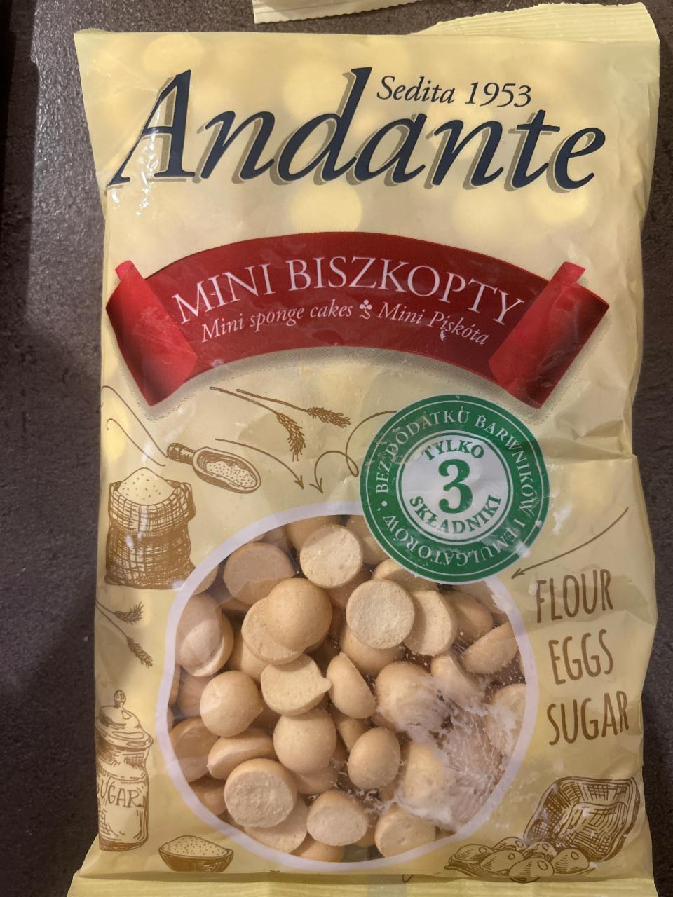 Photo - Andante Mini Sponge cakes 120 g