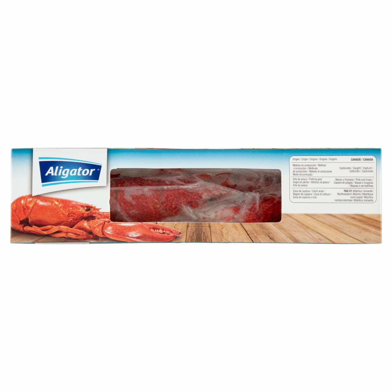 Photo - Aligator Frozen Cooked American Lobster 325 g