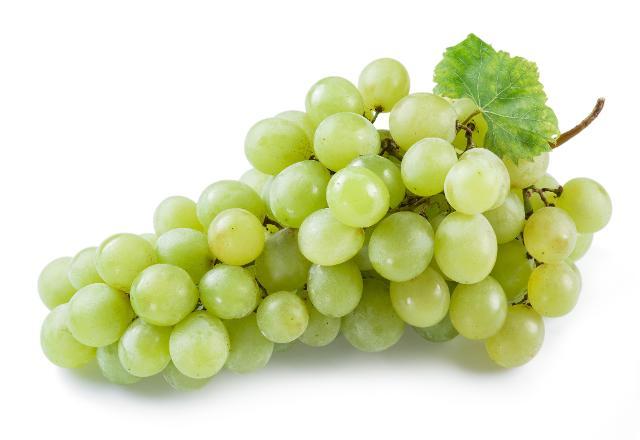 Photo - White grape (no seeds)