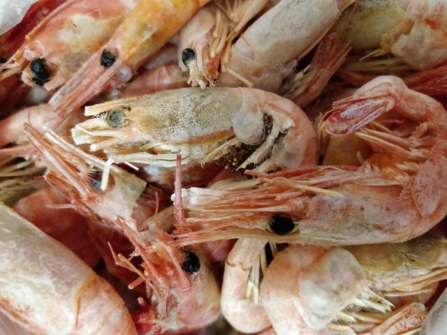 Photo - Shrimps